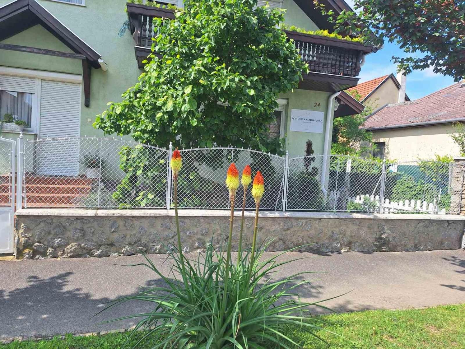 Kőszeg Rohonci Vendeghaz酒店 外观 照片